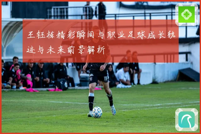 王钰栋精彩瞬间与职业足球成长轨迹与未来前景解析