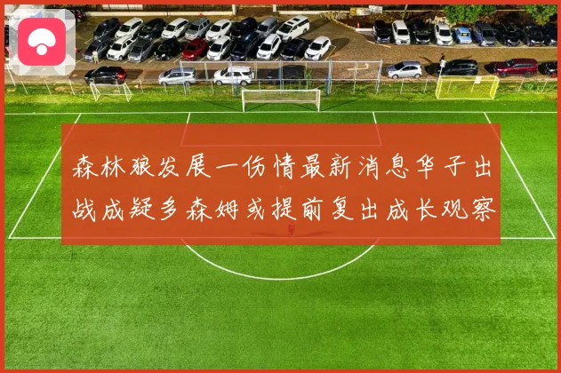 森林狼发展一伤情最新消息华子出战成疑多森姆或提前复出成长观察