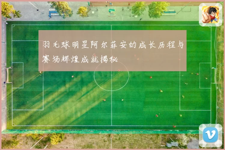 羽毛球明星阿尔菲安的成长历程与赛场辉煌成就揭秘