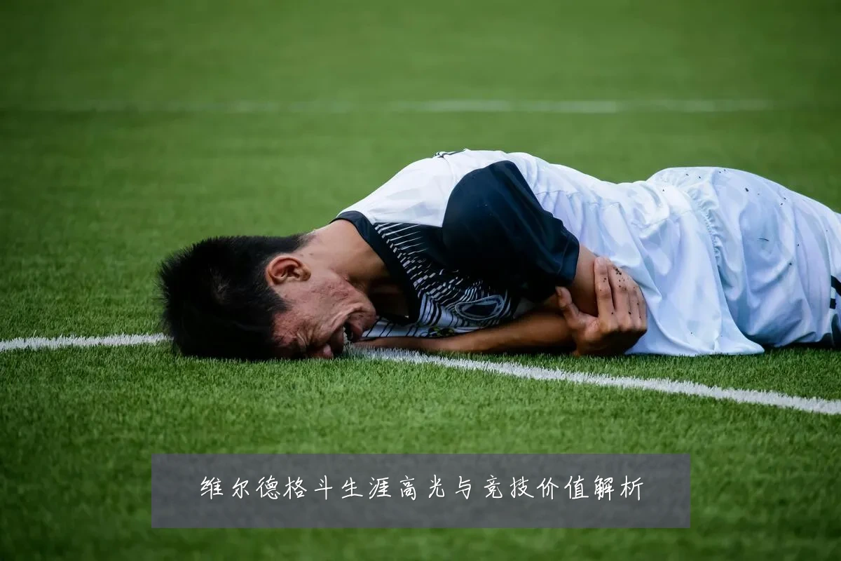 维尔德格斗生涯高光与竞技价值解析