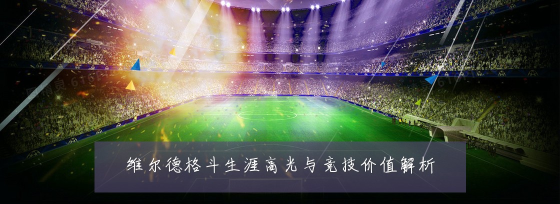 维尔德格斗生涯高光与竞技价值解析