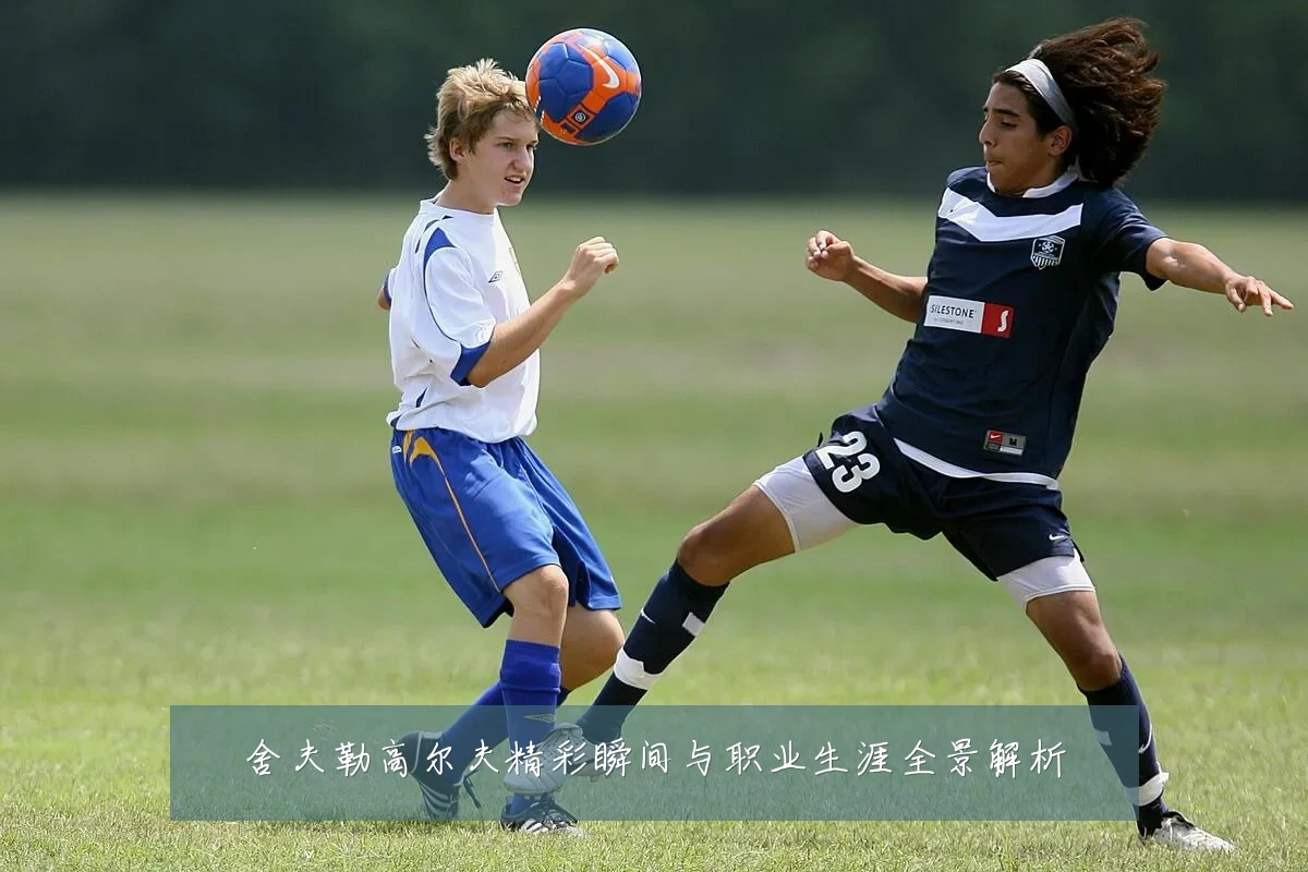 舍夫勒高尔夫精彩瞬间与职业生涯全景解析