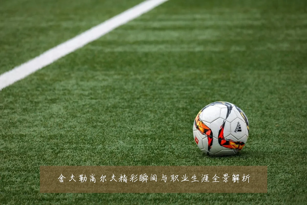 舍夫勒高尔夫精彩瞬间与职业生涯全景解析